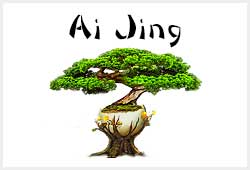 CONSULTA AI JING